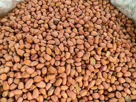 pile of peanuts Arachis hypogaea L photo
