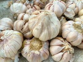 stack Garlic , shallow depth of field, selective focus, macro photo