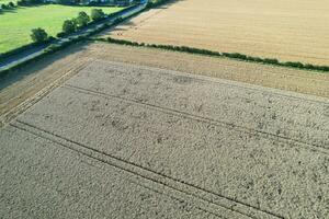 High Angle Panoramic Landscape View of British Agricultural Farms at Countryside Landscape of Sharpenhoe Clappers, Luton City of England UK. Footage Captured on August 19th, 2023 photo