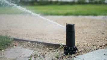 automatisk vattning gräs, trädgård gräsmatta sprinkler i handling. video