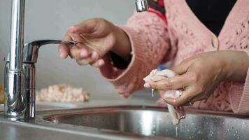 Female hands washing and cleaning chicken breast . video