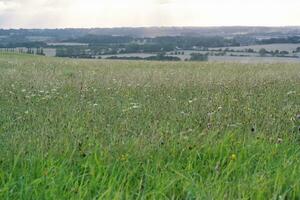 High Angle Panoramic Landscape View of British Agricultural Farms at Countryside Landscape of Sharpenhoe Clappers, Luton City of England UK. Footage Captured on August 19th, 2023 photo