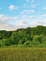 Beautiful Low Angle view of British Landscape and Countryside photo