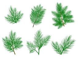 Collection of fir branches, set of Christmas trees vector