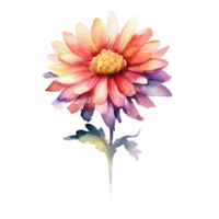 solteiro flor png, colorida aguarela flores, transparente fundo, ai generativo png
