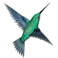 Emerald hummingbird - 3D render photo