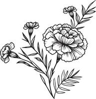 , simple marigold line drawing, marigold flower tattoo drawing, traditional marigold tattoo, black marigold tattoo, american traditional marigold tattoo, marigold flower tattoo drawing vector