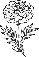 Traditional marigold tattoo, black marigold tattoo, american traditional marigold tattoo, marigold flower tattoo drawing, simple marigold flower tattoo,  black marigold tattoo, minimalist marigold art vector