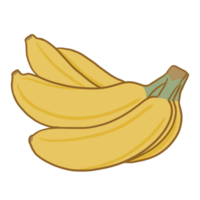 tropisk frukt, banan, teckning png