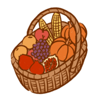 Thanksgiving, drawing illustration png