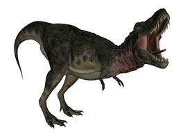 Tarbosaurus dinosaur - 3D render photo