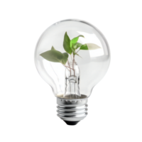 Light bulb with sprout inside isolated on transparent background. Green energy concept AI generated png