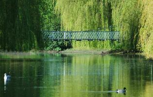 Low Angle View of Wardown Museum Public Park of Luton, England UK. Image Captured on May 10th, 2023 photo