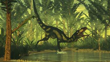 Dilong dinosaur - 3D render photo