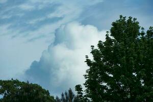 Gorgeous Low Angle View of Local Public Park of Luton England UK photo