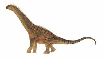 Alamosaurus dinosaur - 3D render photo