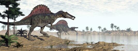 Spinosaurus dinosaurs in desert - 3D render photo