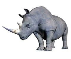 Rhinoceros head down - 3D render photo