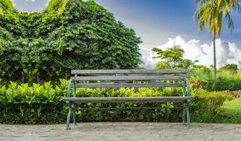 A wooden bench in a park at sunset, front view of a wooden bench with sky and clouds in the background, Front view of a nice wooden bench surrounded by plants with copy space. photo