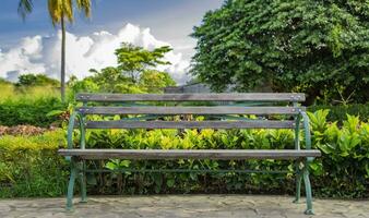 frente ver de un bonito de madera banco rodeado por plantas con Copiar espacio. un de madera banco en un parque a atardecer, frente ver de un de madera banco con cielo y nubes en el antecedentes foto