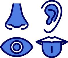 Senses Vector Icon