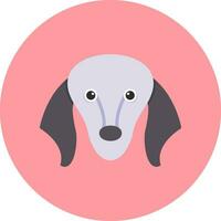 saluki vector icono