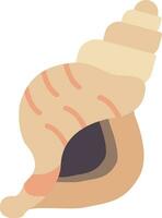 Conch Shell Vector Icon