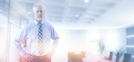 Senior businessman in his office photo