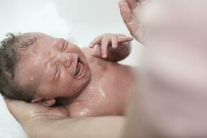 Newborn baby girl taking a first bath photo