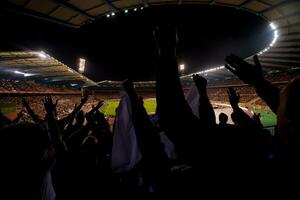 los fanáticos del fútbol apoyan a su equipo deportivo favorito foto