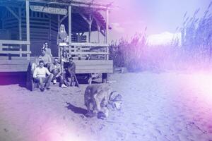 Group of friends having fun on autumn day at beach photo