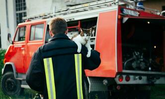 Close-up portrait of heroic fireman in protective suit and red helmet holds saved cat in his arms. Firefighter in fire fighting operation. photo