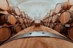 vino o coñac barriles en el cava de el lagar, de madera vino barriles en perspectiva. vino bóvedas.vintage roble barriles de arte cerveza o brandy. foto