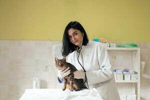 clínica veterinaria. retrato de una doctora en el hospital de animales sosteniendo un lindo gato enfermo foto