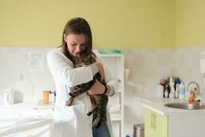 clínica veterinaria. retrato de una doctora en el hospital de animales sosteniendo un lindo gato enfermo foto