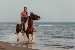 A modern man in summer clothes enjoys riding a horse on a beautiful sandy beach at sunset. Selective focus photo