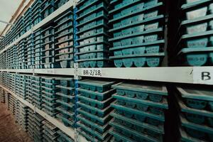 Gold mining storage rock core samples geology drilling industy. Large ore warehouse in modern industry, ores stacked in boxes. Selective focus photo