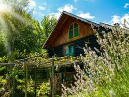 de madera cabaña casa tradicional natural en el bosque con jardín foto