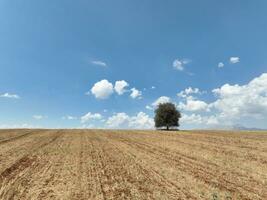 Farm fields Background Texture 4 K Aerial View 4K Turkey Antalya photo