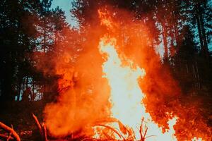 Soldier in Action at Night in the Forest Area. Night Time Military Mission jumping over fire photo