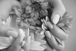 manos de mujer con manicura sosteniendo flor foto