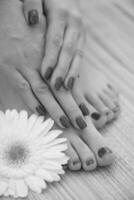 female feet and hands at spa salon photo