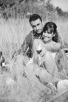 happy couple enjoying countryside picnic in long grass photo