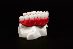 inferior humano mandíbula con dientes anatomía modelo aislado en negro antecedentes. sano dientes, dental cuidado y ortodoncia médico concepto. foto