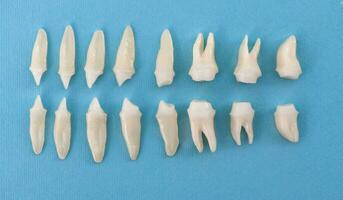 protésico odontología blanco dientes en negro antecedentes oral dental higiene dental salud concepto oral cuidado dientes restauracion parte superior vista. foto