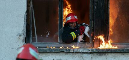 bombero héroe que lleva bebé niña fuera desde ardiente edificio zona desde fuego incidente. rescate personas desde peligroso sitio foto