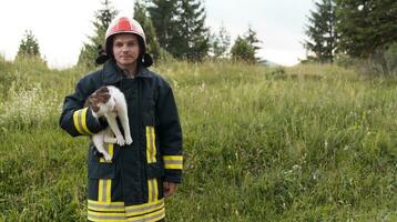 de cerca retrato de heroico bombero en protector traje y rojo casco sostiene salvado gato en su brazos. bombero en fuego luchando operación. foto