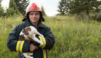 de cerca retrato de heroico bombero en protector traje y rojo casco sostiene salvado gato en su brazos. bombero en fuego luchando operación. foto