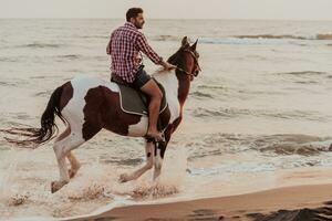 A modern man in summer clothes enjoys riding a horse on a beautiful sandy beach at sunset. Selective focus photo