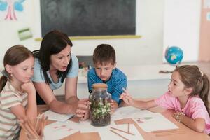 Female Teacher with kids in biology class at elementary school conducting biology or botanical scientific experiment about sustainable Growing plants. Learning about plants in a glass jar photo